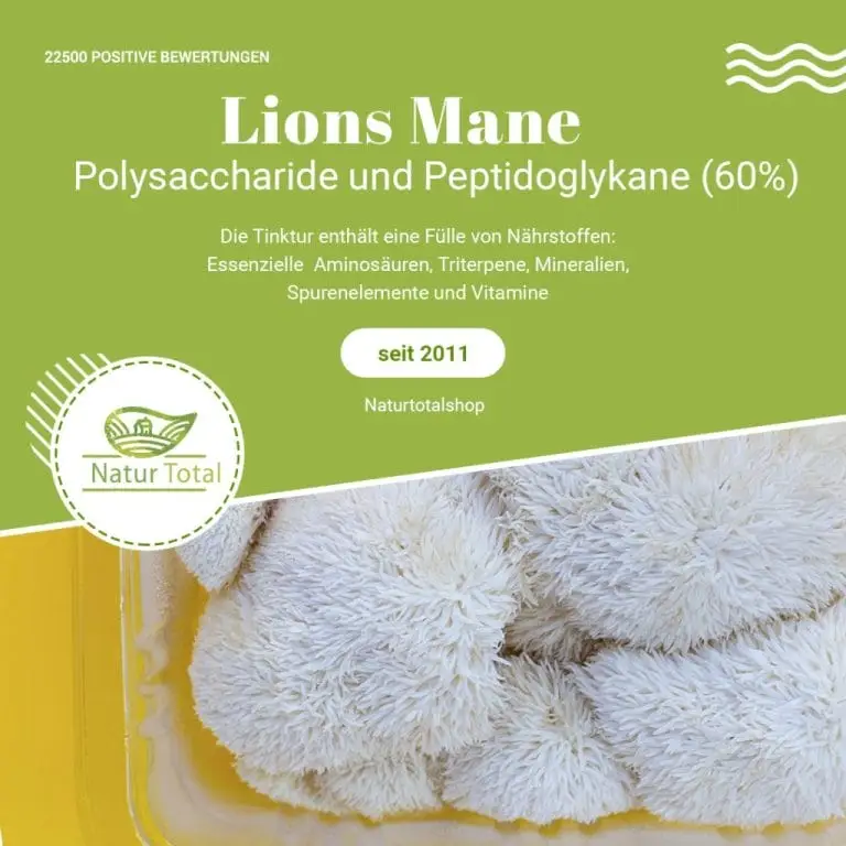 Lion's Mane Wirkung