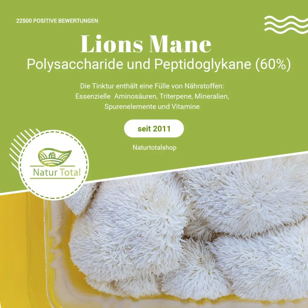 Lion's Mane Wirkung