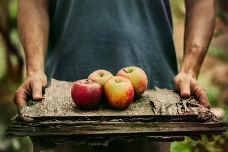 Gesunde Lebensmittel: Wie ein Apfel Ihre Gesundheit auf Vordermann bringt!