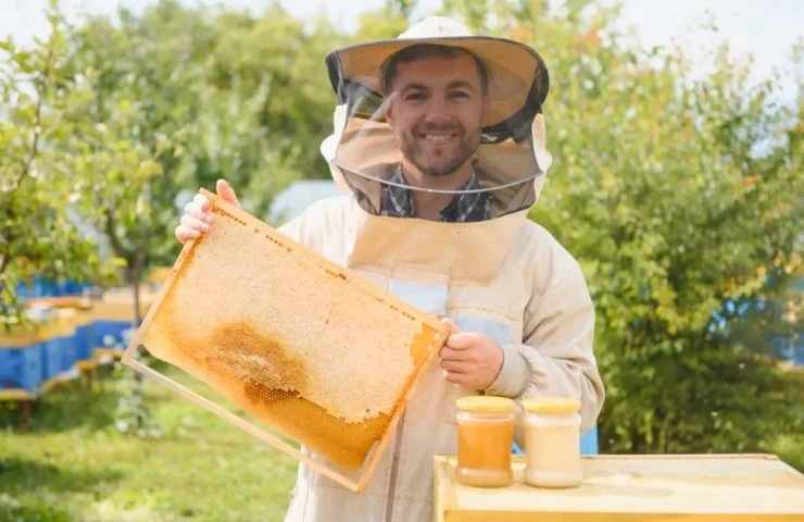 Propolis-Tabletten