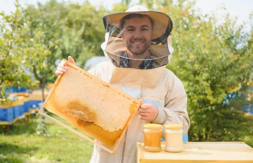 Propolis-Tabletten