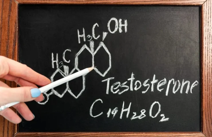 Ashwagandha Testosteron - Das natürliche Potenzmittel für Männer