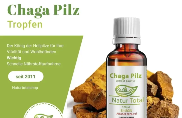 Chaga Pilz Tropfen