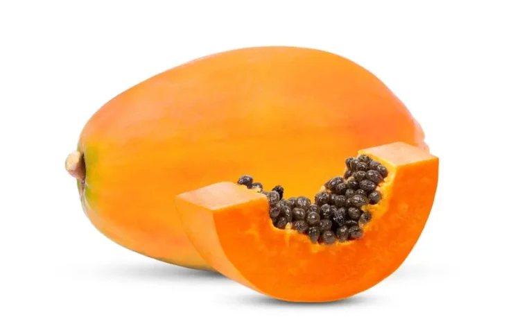 papaya bauchspeicheldrüse