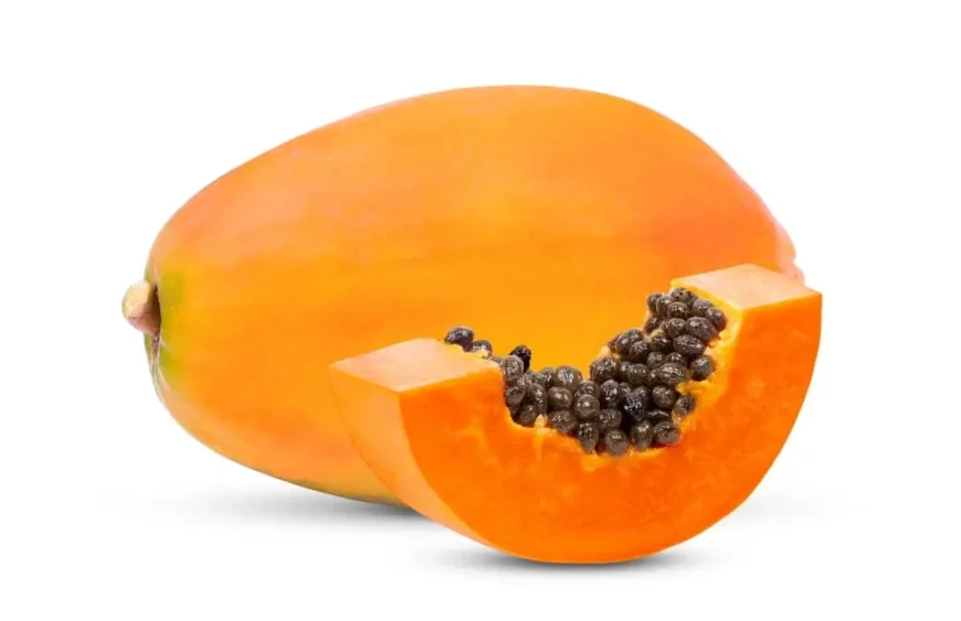 papaya bauchspeicheldrüse