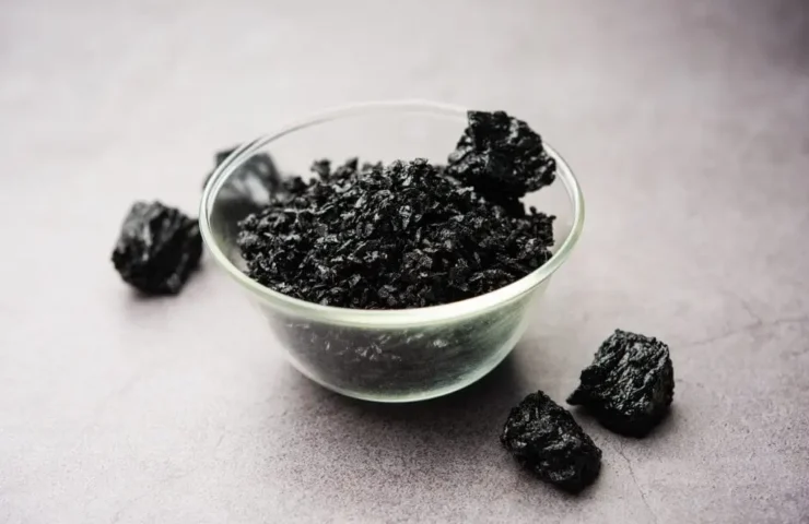 Shilajit Nebenwirkungen die Sie kennen sollten