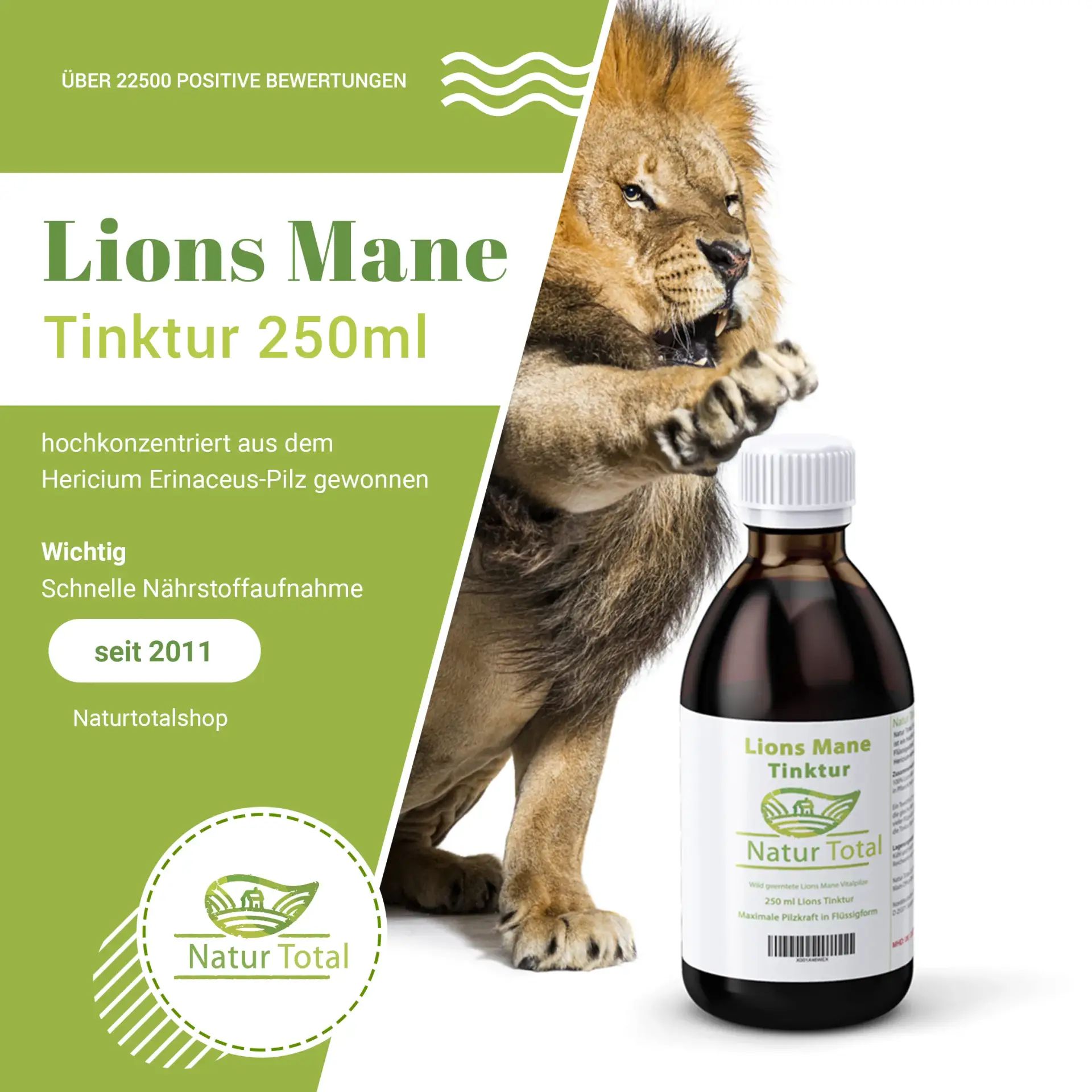 vitalpilze seriöse anbieter