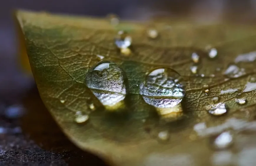 Was ist Chlordioxid 0 3?