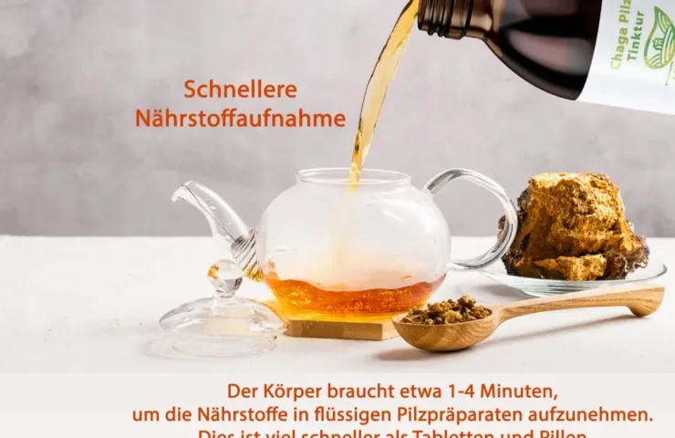Natur Total Chaga Pilz Tropfen