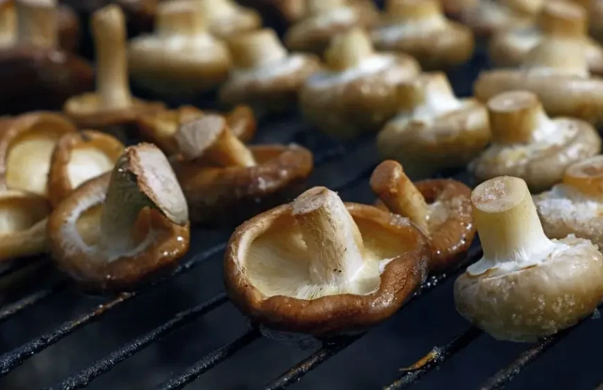 Shiitake-Pilze