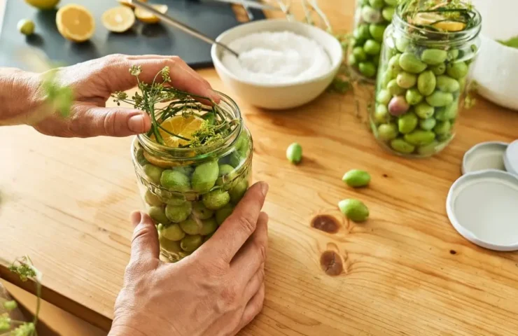 fermentiere