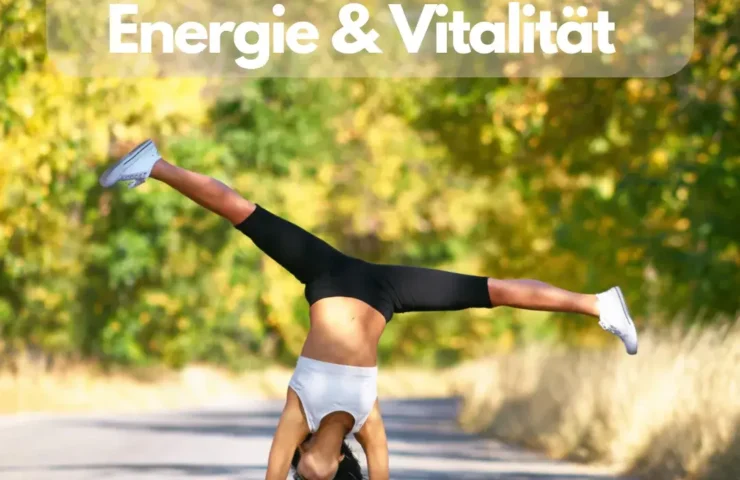 Vitalpilze für Energie und Vitalität