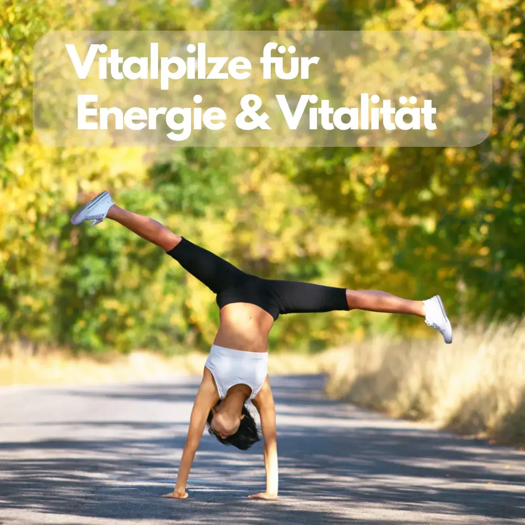 Vitalpilze für Energie und Vitalität