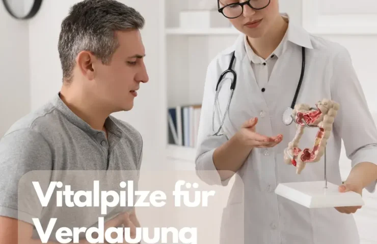 Vitalpilze für Verdauung und Darmflora Wie Vitalpilze die Verdauung und die Gesundheit der Darmflora verbessern.