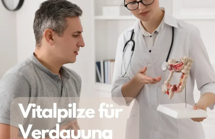 Vitalpilze für Verdauung und Darmflora Wie Vitalpilze die Verdauung und die Gesundheit der Darmflora verbessern.
