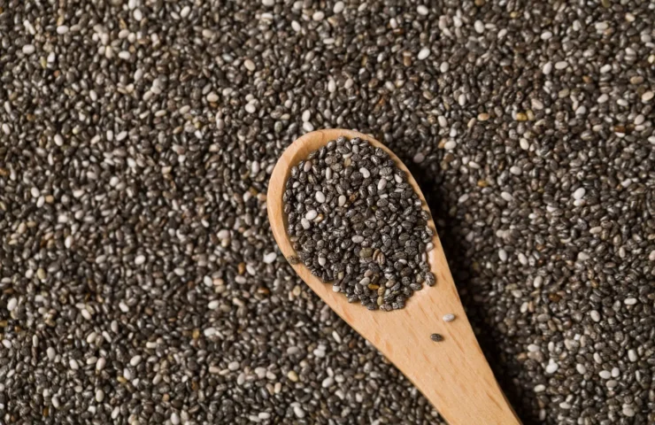 Chia-Samen: Herkunft, Nutzen und Anwendung