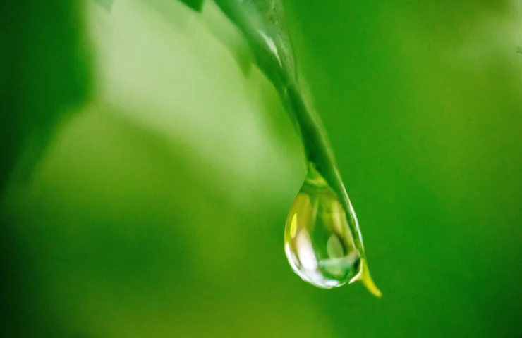 DMSO Tropfen: Das Wundermittel der Naturheilkunde