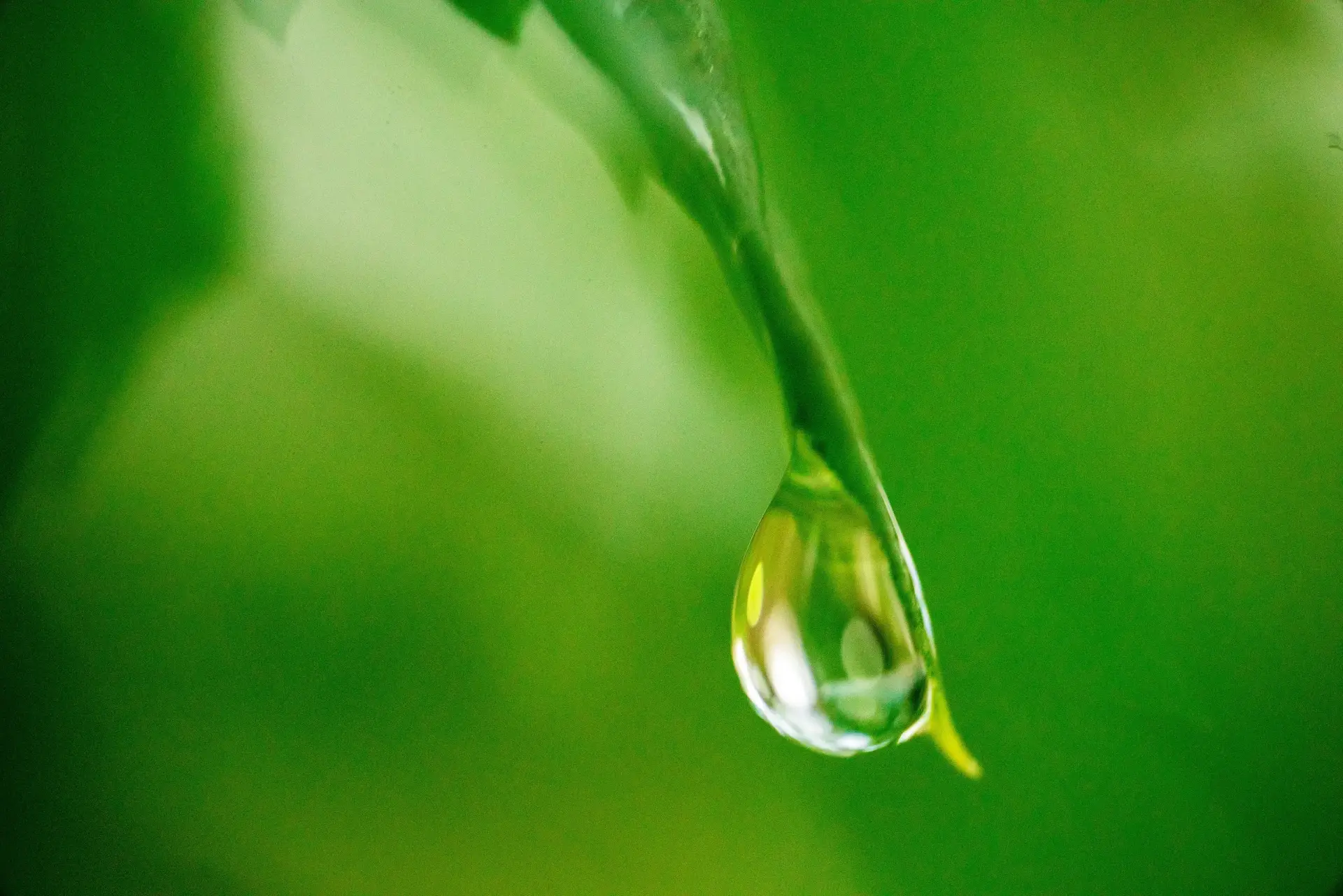 DMSO Tropfen: Das Wundermittel der Naturheilkunde