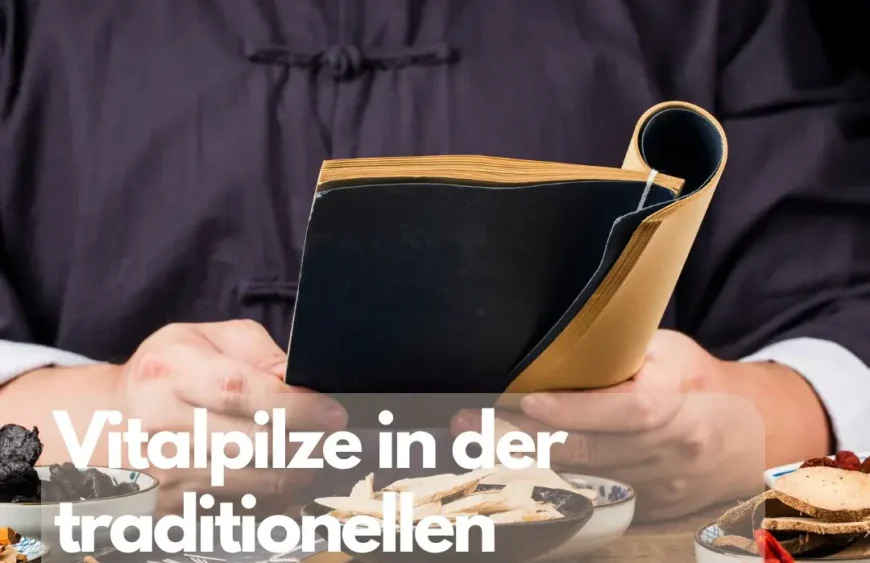 Vitalpilze in der traditionellen chinesischen Medizin Die Rolle von Vitalpilzen in der TCM (Traditionellen Chinesischen Medizin) und ihre therapeutische Anwendung.