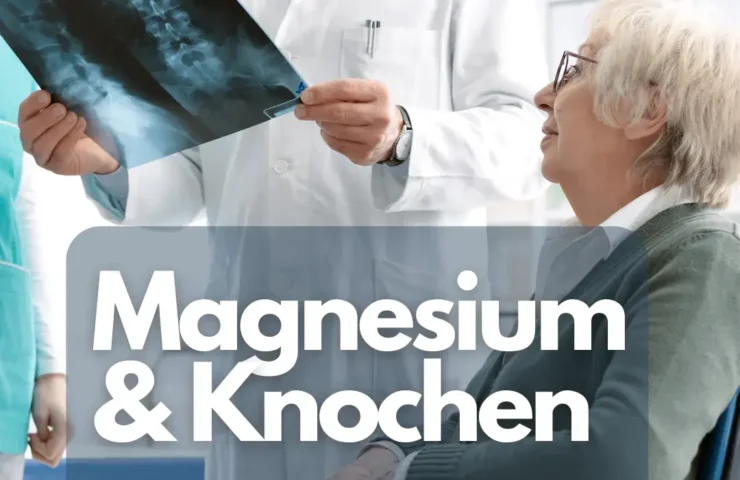 Magnesium und Knochen: Die Rolle von Magnesium bei der Knochengesundheit, insbesondere im Zusammenhang mit Osteoporose