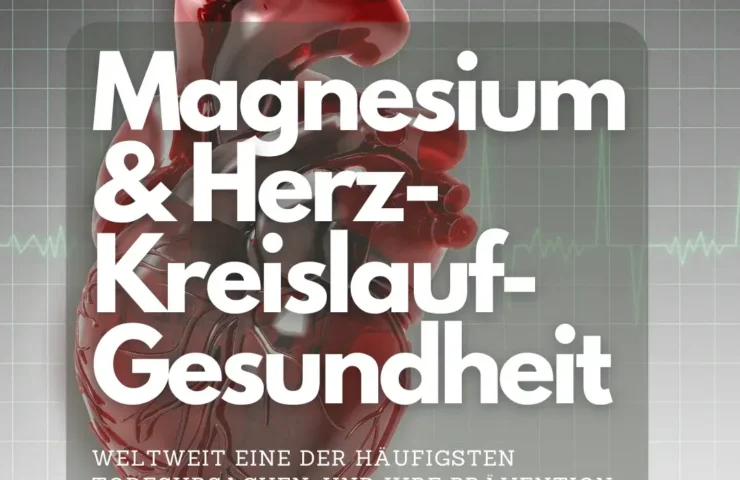 Magnesium und Herzkreislauf-Gesundheit weltweit eine der häufigsten Todesursachen, und ihre Prävention