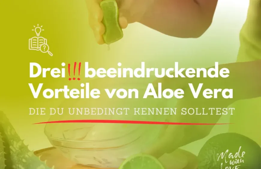 Für was ist Aloe Vera alles gut