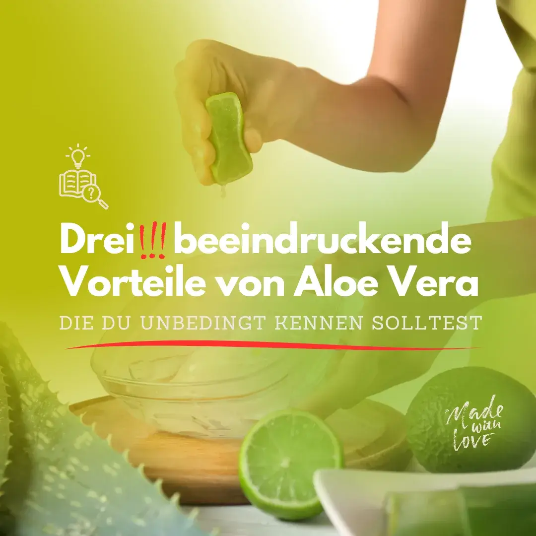 Für was ist Aloe Vera alles gut