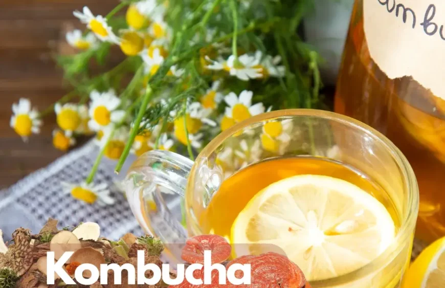 Kombucha und Vitalpilze:
