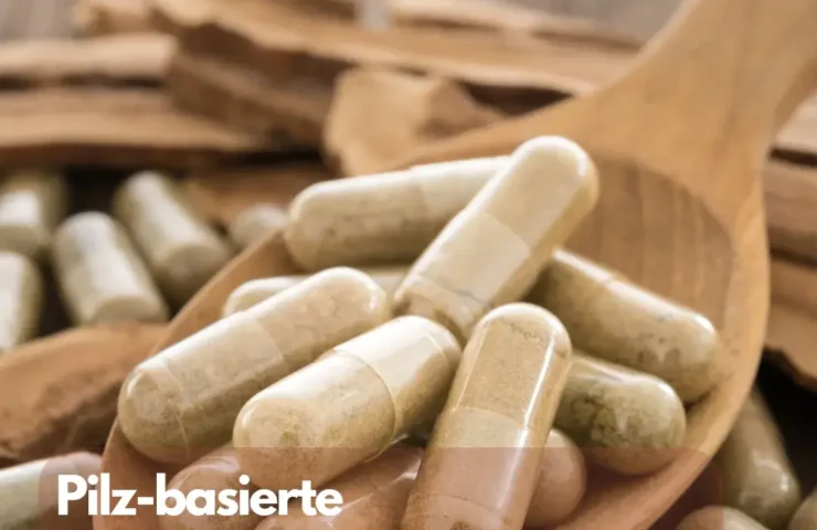 Pilz-basierte Nahrungsergänzungsmittel Überblick über Nahrungsergänzungsmittel auf Basis von Vitalpilzen und ihre richtige Anwendung.