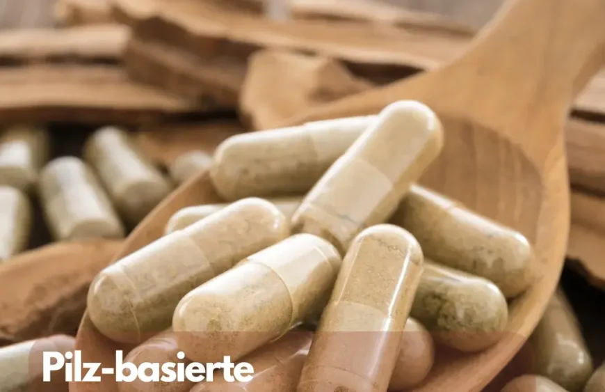 Pilz-basierte Nahrungsergänzungsmittel Überblick über Nahrungsergänzungsmittel auf Basis von Vitalpilzen und ihre richtige Anwendung.