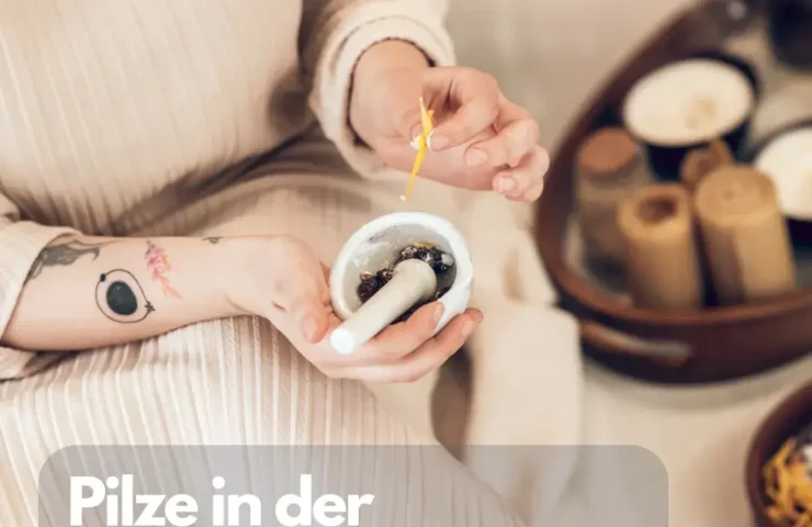 Pilze in der ayurvedischen Heilkunde