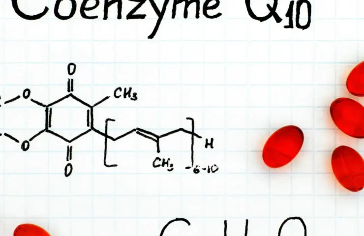 Coenzym Q10 und Zellgesundheit
