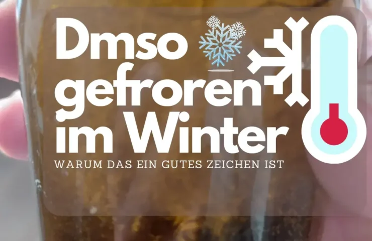 Dmso gefroren im Winter