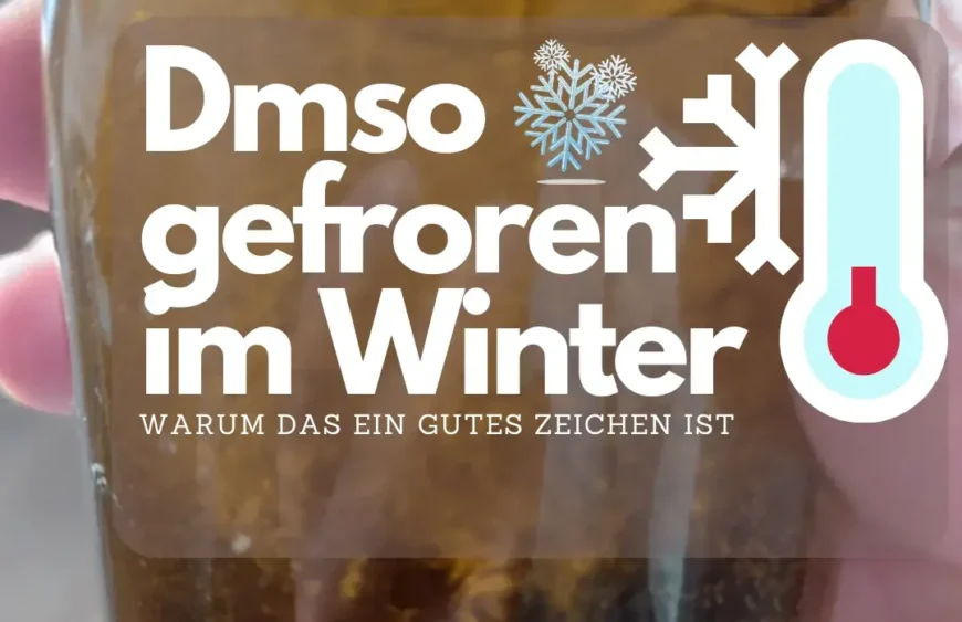Dmso gefroren im Winter