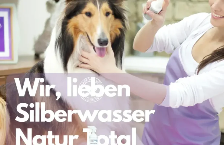 Kolloidales Silberspray für Hunde