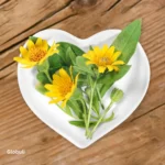 Arnica D6 Globuli