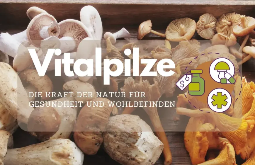 Vitalpilze: Die Kraft der Natur für Gesundheit und Wohlbefinden Vitalpilze, auch bekannt als medizinische Pilze, sind seit Jahrhunderten fester Bestandteil traditioneller Heilmethoden in Asien und finden zunehmend Beachtung in der westlichen Welt.
