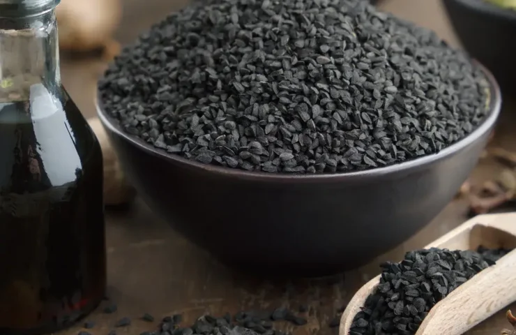 Schwarzkümmelöl lagern: So bleibt es frisch und wirksam Schwarzkümmelöl ist ein echtes Wundermittel aus der Natur und wird wegen seiner zahlreichen gesundheitlichen Vorteile geschätzt. Doch damit das kostbare Öl seine Wirkung nicht verliert, ist eine richtige Lagerung entscheidend.