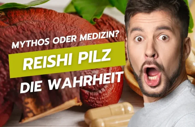 Reishi-Pilz: Mythos oder Medizin? Die Wahrheit enthüllt!