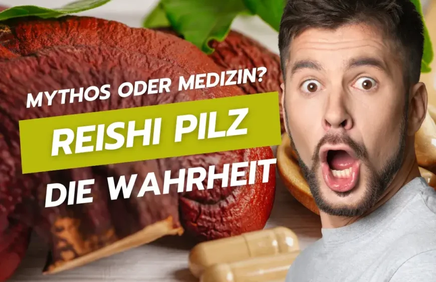 Reishi-Pilz: Mythos oder Medizin? Die Wahrheit enthüllt!