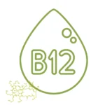 Vitamin B12 Tropfen hochdosiert