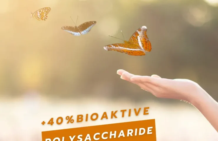 Cordyceps: Der geheime Power-Pilz für deine Atemwege!