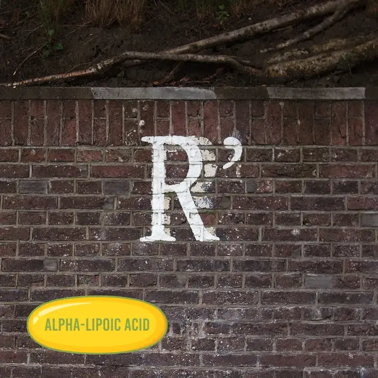 R-Alpha-Liponsäure: natürliche Form, Wirkung, Anwendung & Risiken R-Alpha-Liponsäure verständlich erklärt: natürliche Form von Alpha-Liponsäure, Wirkung auf Nerven, Stoffwechsel und Blutzucker sowie Dosierung und Nebenwirkungen.