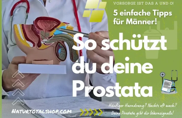 So schützt du deine Prostata – 5 einfache Tipps für Männer!