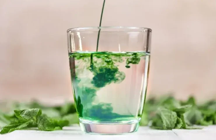 Découvrez le pouvoir de la nature dans chaque goutte – toute la vérité sur la chlorophylle liquide