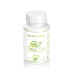 Quercetin Komplex Zellschutz