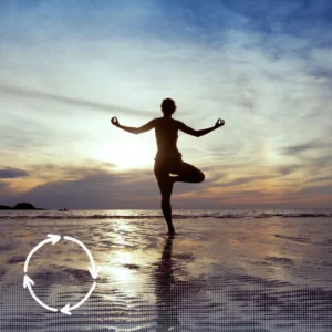 ZyklusBalance Pro – Hormonbalance Kapseln mit Mönchspfeffer & Safran
