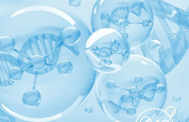 Cell protection through antioxidants – how your body benefits from them in the long term