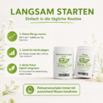 Darm-Balance Starter Duo – Flohsamenschalen + PHGG – 2 x 250 g